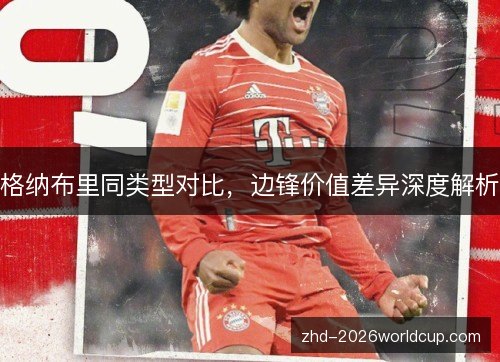 格纳布里同类型对比，边锋价值差异深度解析